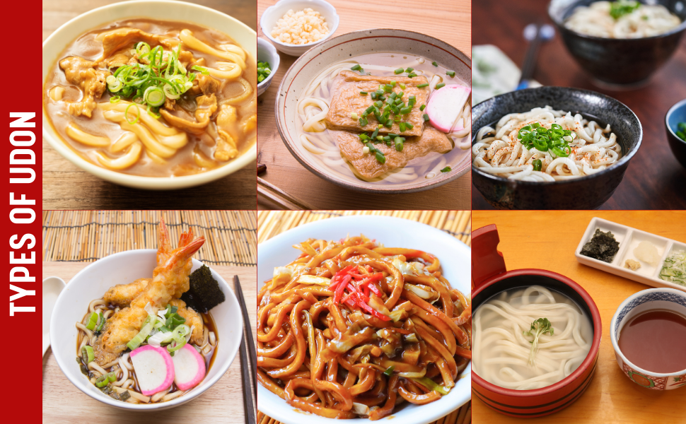 Japanese Style Fresh Sanukiya Jumbo Udon Noodles, with
