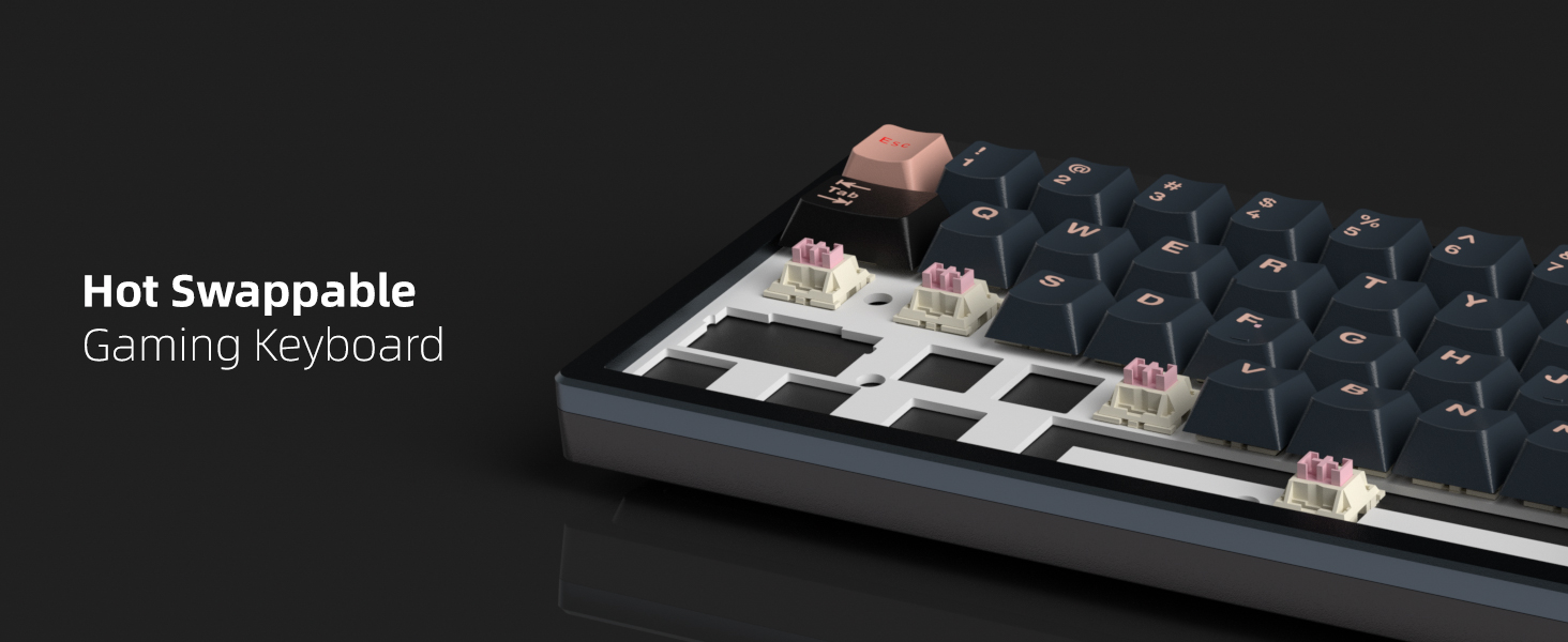 Hot-Swappable Custom Switches