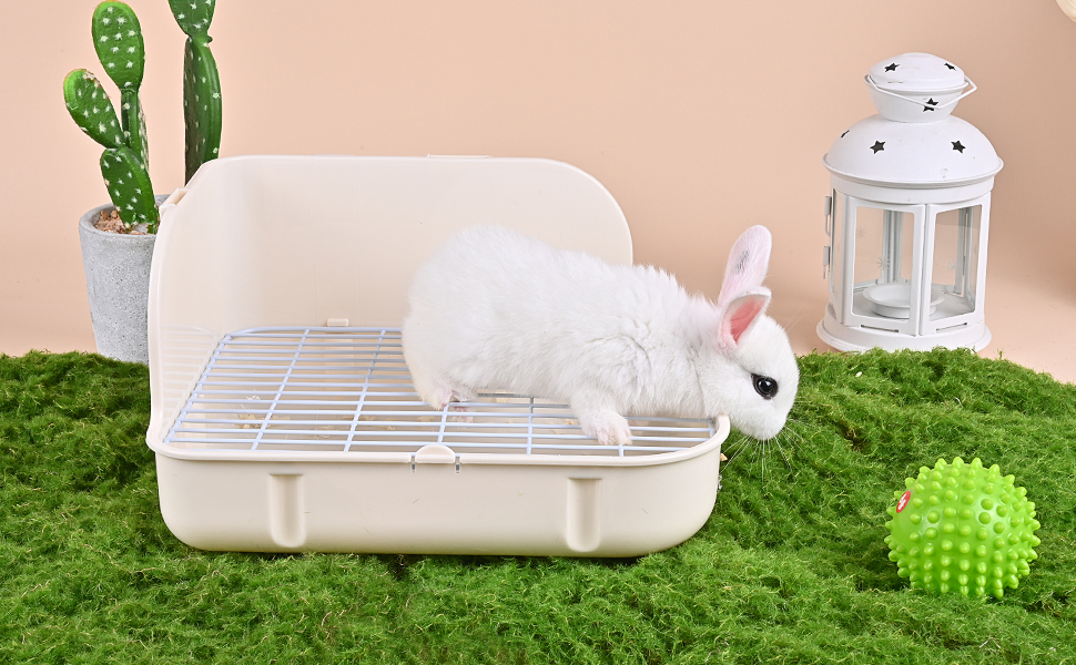 Rabbit Litter Box Toilet