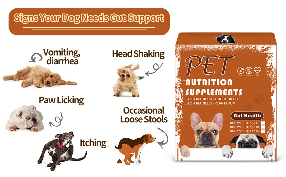 Probiotics for Dogs and Pumpkin Puree to eat Together