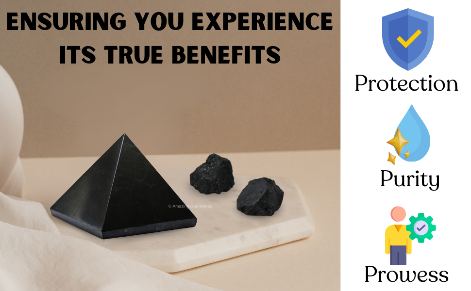 スレッジエクソシスト Impaktech Adjustable Subcage - Impaktechusa.com Stunt Parts