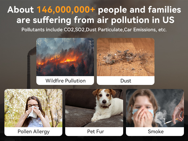 Tailulu D10 air purifier-4