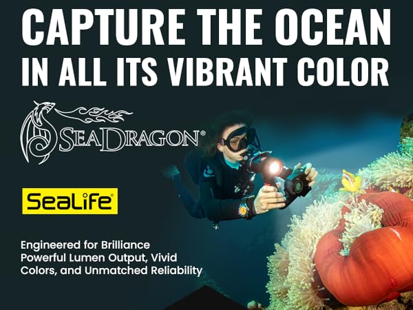SeaLife SL677 Sea Dragon 2000F UW 写真 ビデオ ダイブ ライト &amp; グリップ Amazon.com: Sea Dragon 2000F : SEALIFE: Electronics