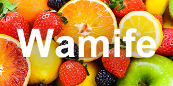 Wamife blender