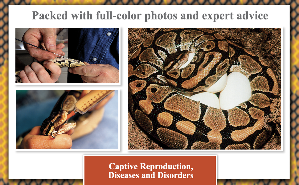 Large manufacture image 4