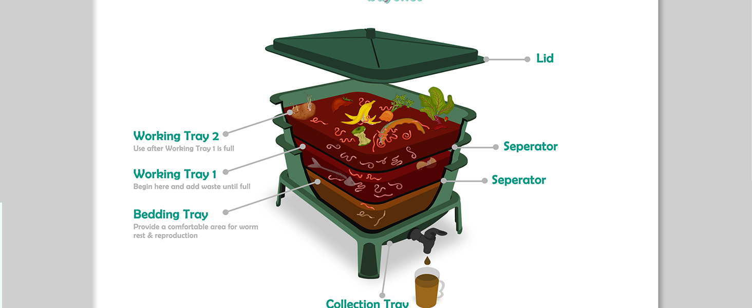 Blütezeit Worm Composter 3Tray, Worm Farm with Compost
