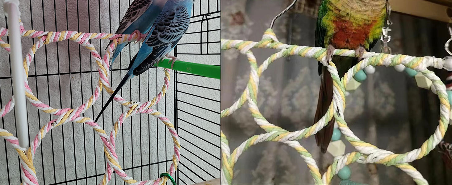 rat toys and accessories