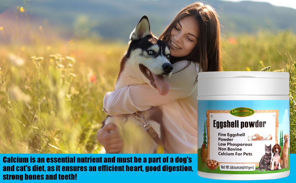 Eggshell Powder 6.6 oz Eggshellent Calcium for Dogs and
