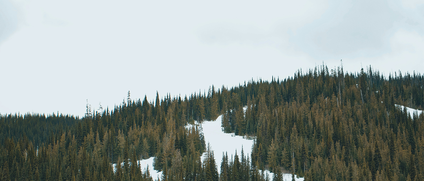 emergency radio hand crank radio portable am fm battery operated radio for power outages