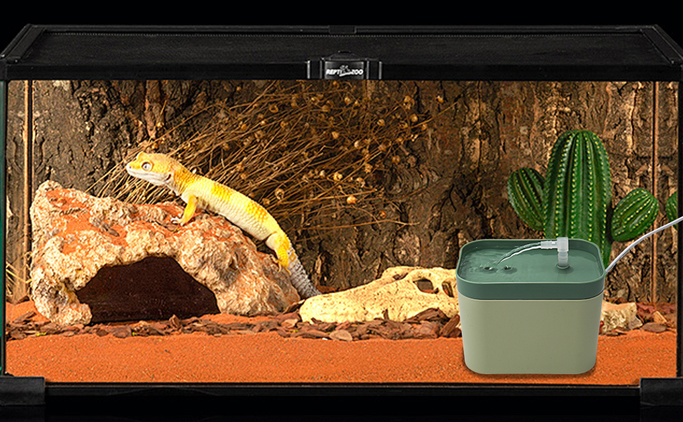 BingegePet Reptile Water Bowl with Filtration System