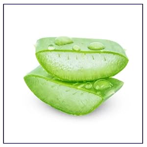 gentle relief for acne-prone and rosacea-affected skin, reducing redness and irritation