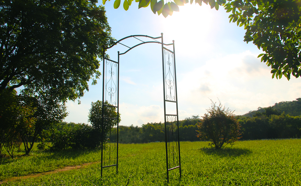 arbor