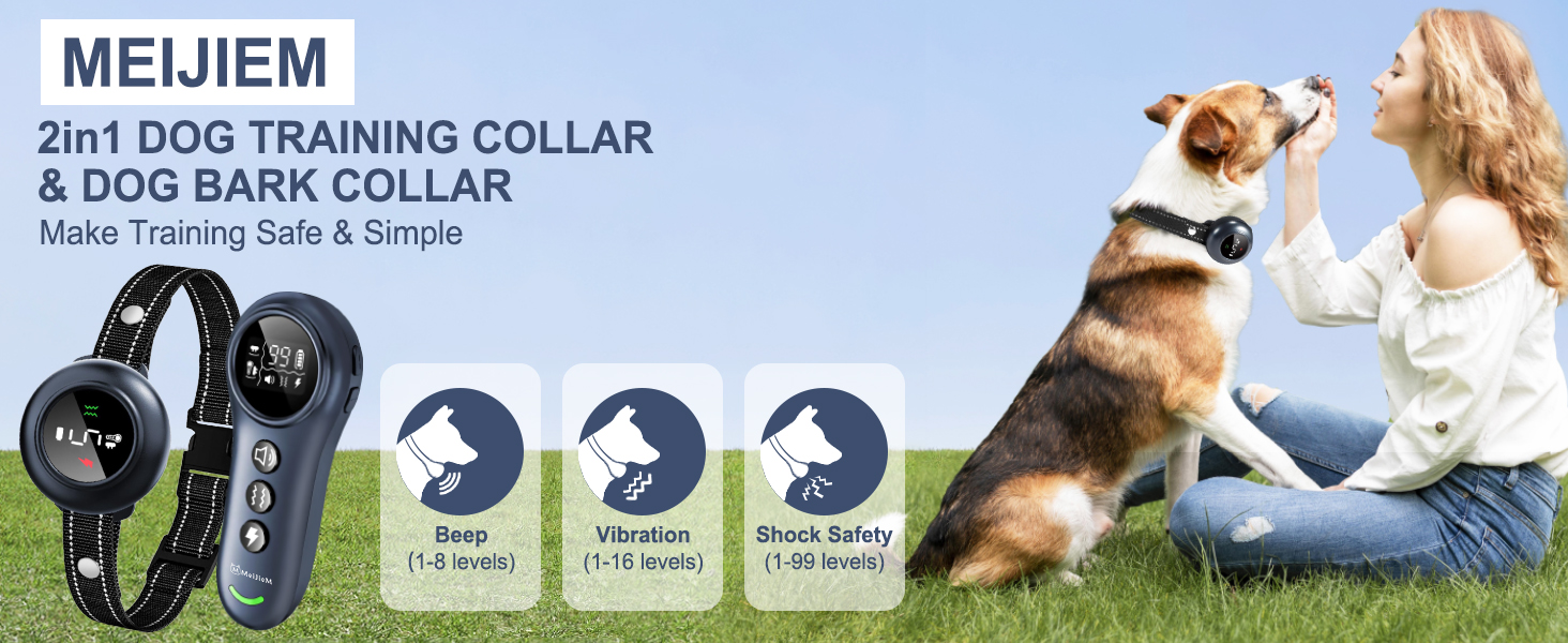 dog training collar