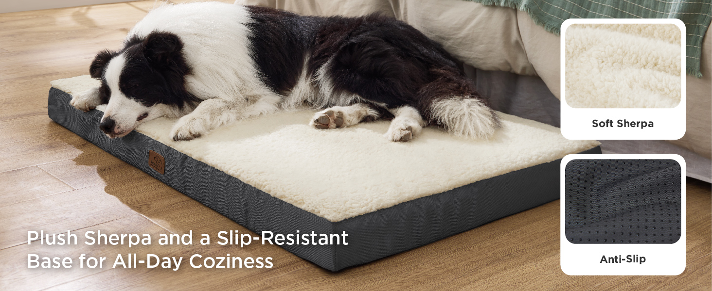 dog bed