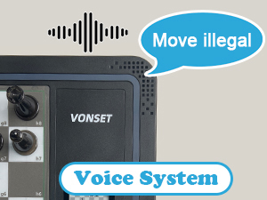 voice