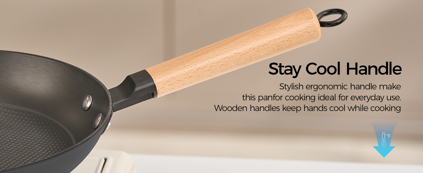 cast iron pan frying pan cast iron skillet enameled cast iron skillet