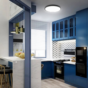 low profile ceiling light