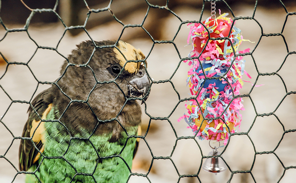 Bird Chew Toys