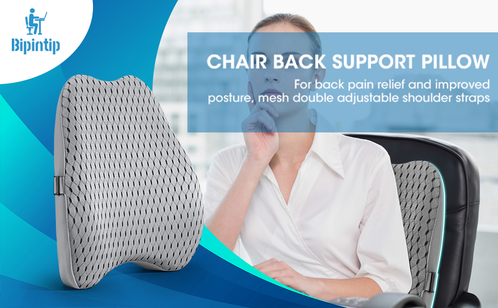 Bipintip Lumbar Support Office Chair with Adjustable Strap