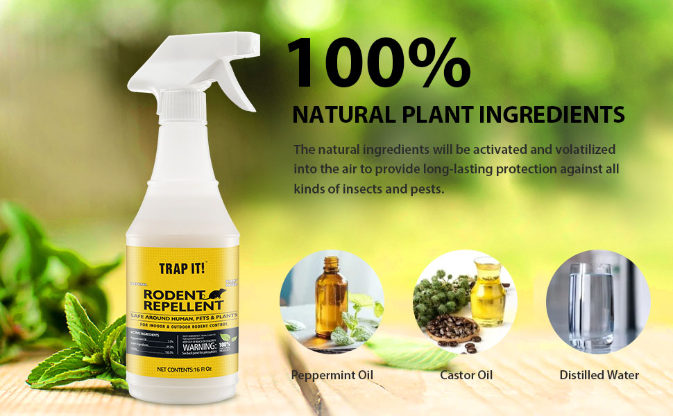 TRAP IT! Peppermint Oil Spray for Rodents, 16OZ Natural
