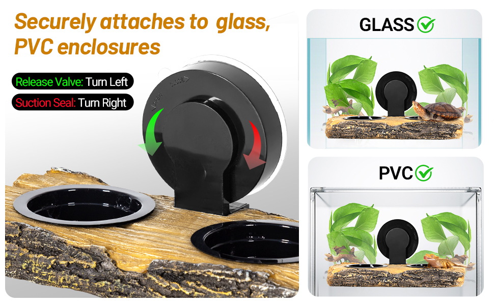 Terrarium Water Bowl