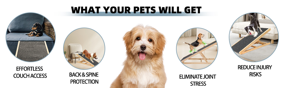 pet ramp for large dogs