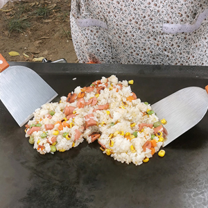 plancha grill spatula