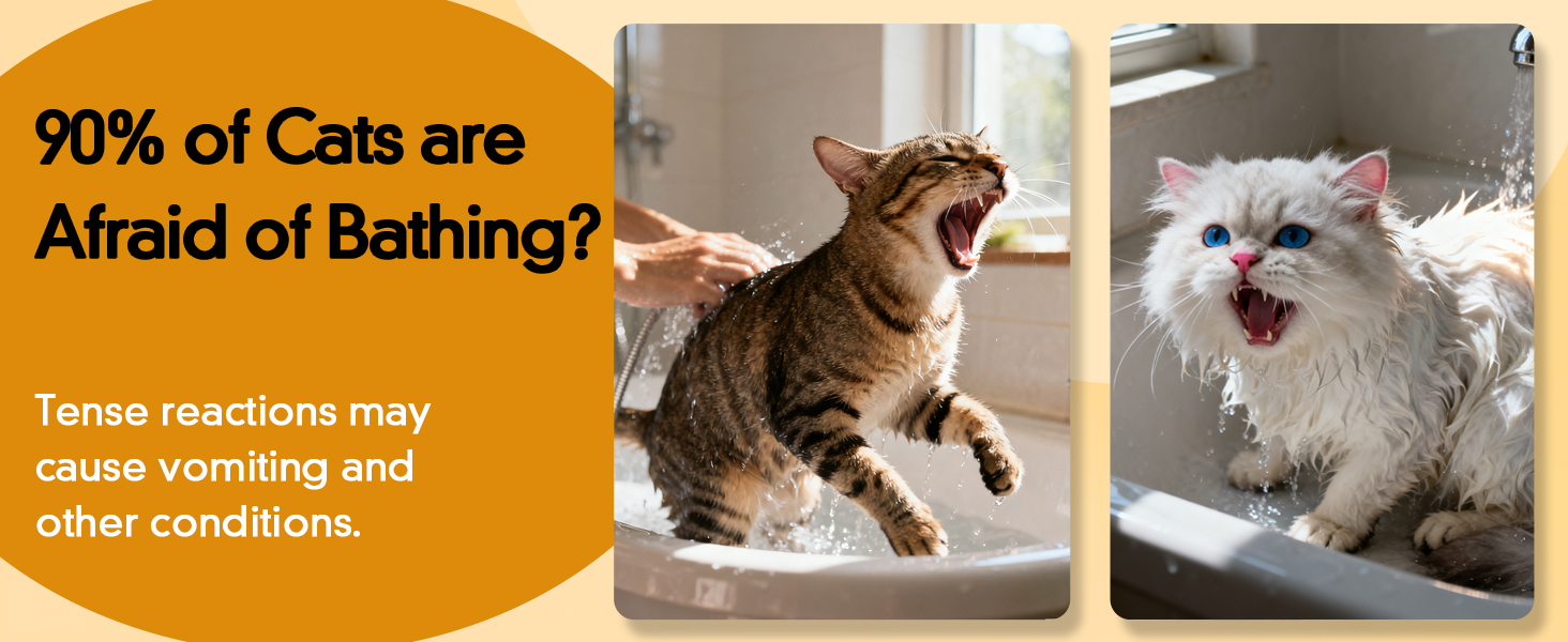 dry shampoo for cats