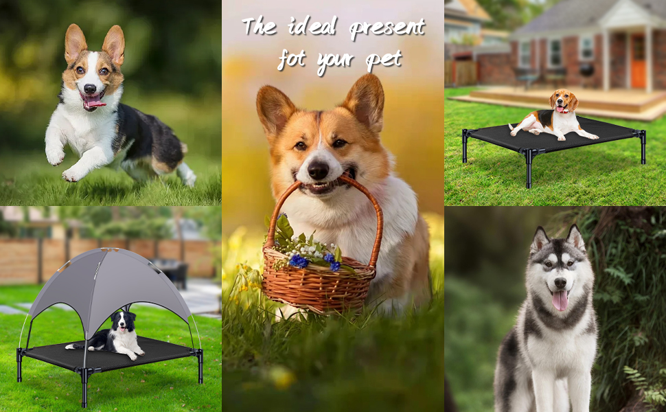 Boonbery Elevated Dog Bed with Canopy, Outdoor Dog Cot