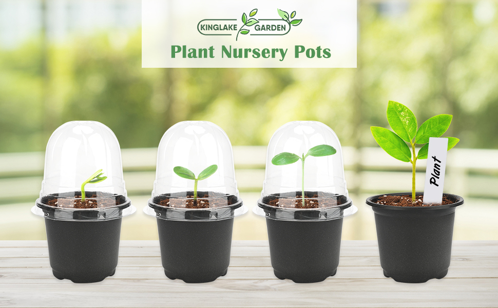 KINGLAKE GARDEN 4'' Plant Nursery Pots,Clear Nursery Pots