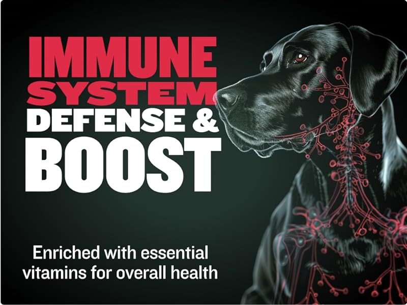 Immune system defence & booster enriched with essential vitamins for overall health