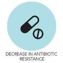 Decrease in Antibiotic Resistance