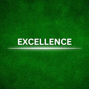 Excellence