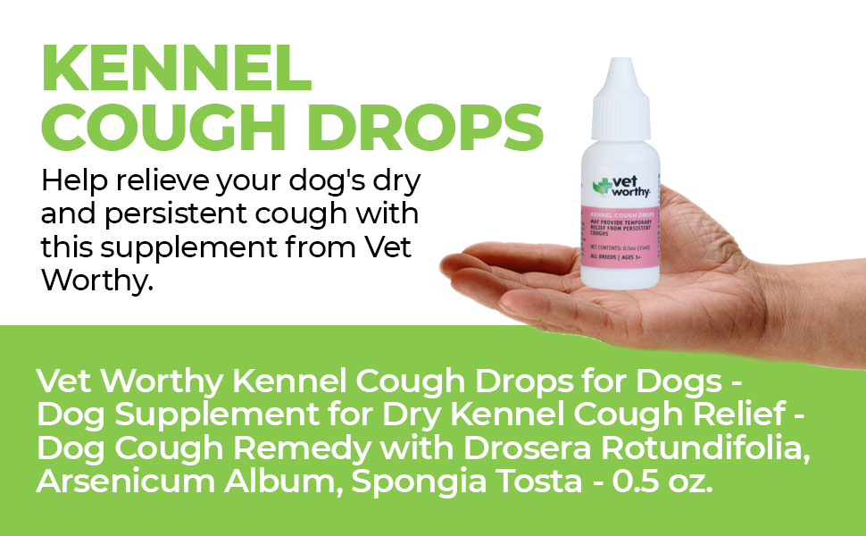 Vet Worthy Kennel Cough Drops for Dogs Dog Supplement for Dry Kennel Cough Relief