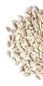 Organic Raw Sunflower Seeds by food to live