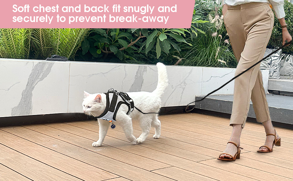 Cat Harness and Lead Set