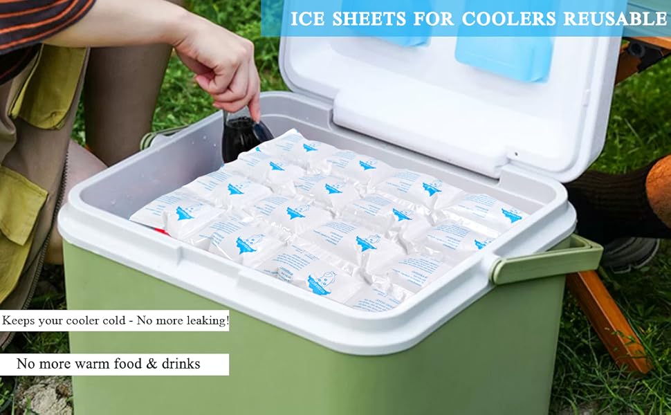 TarppedRock Dry Ice Packs for Shipping Frozen Food, 5