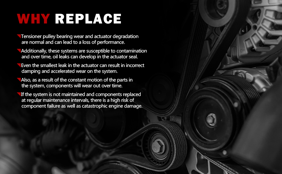 Timing Chain Tensioner Set 420129 12609261 12609260 for