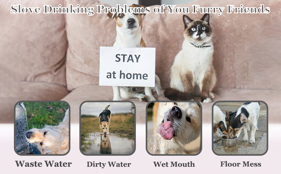 travel water bowl for dogs