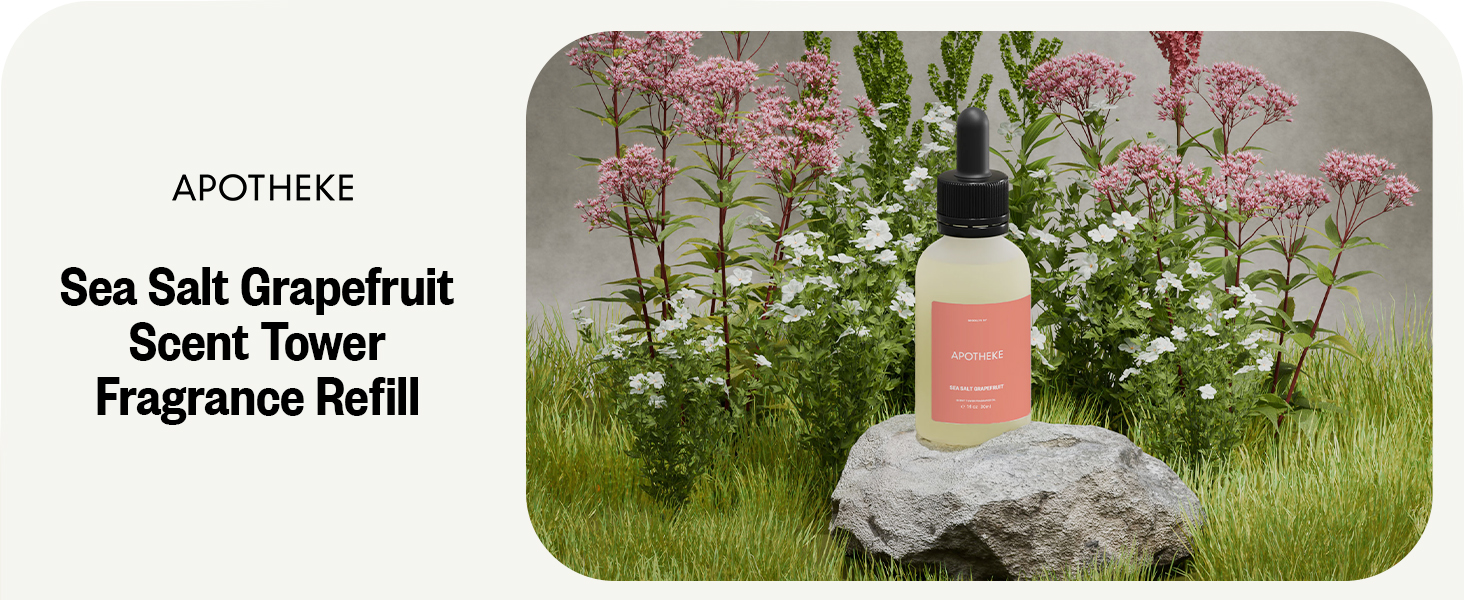 Jasmine Essence Decorations GIft Humidificador Space Defusser Day Apartment Flower Deodorizer Gifts