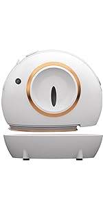 Dry and wet garment steamer 
