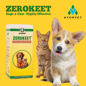 Medicine Skin Diseases Zerokeet Ectoparasite Control for Dog