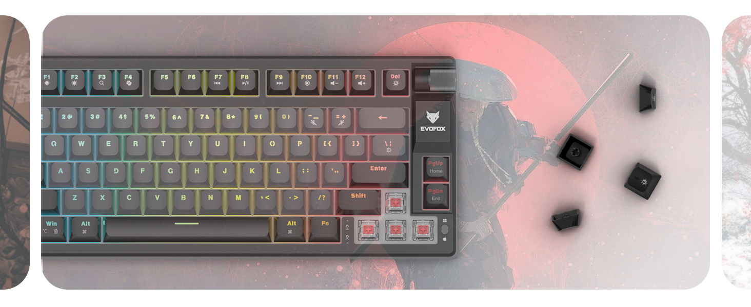 EvoFox Ronin TKL Wired Mechanical Gaming Keyboard ... 13 Evofox Ronin TKL Wired Mechanical Keyboard