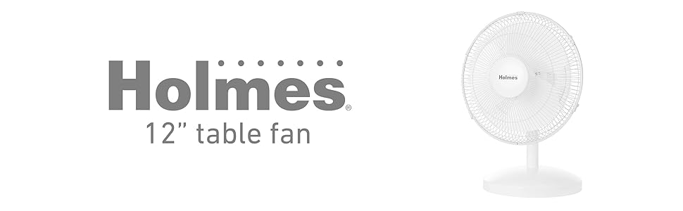 Holmes 12" table fan