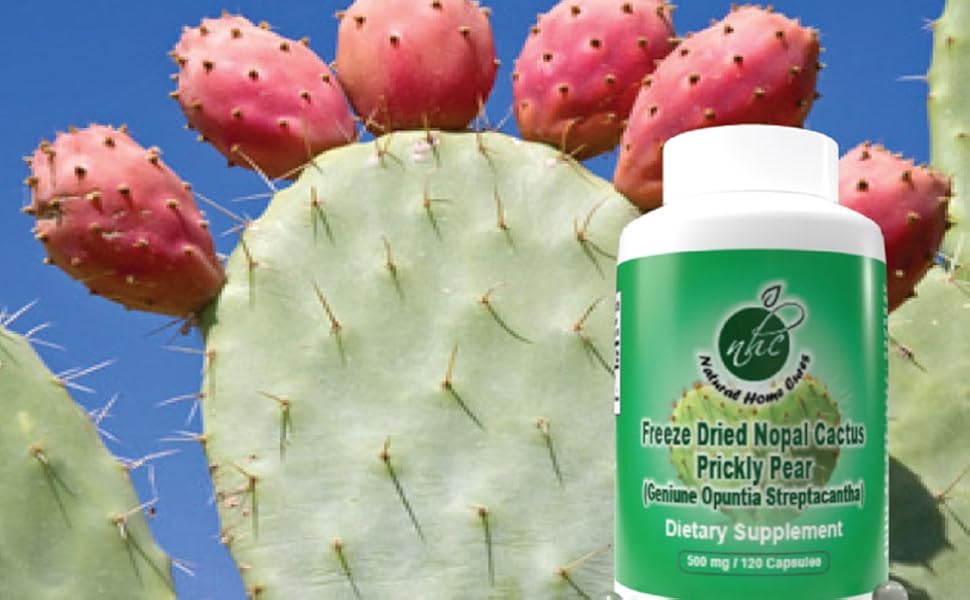 nopal capsules organic nopales pills - nopal capsules cactus pills - nopal cactus herb