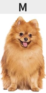 Frienperro Small Dog Costume Dog Hoodie M