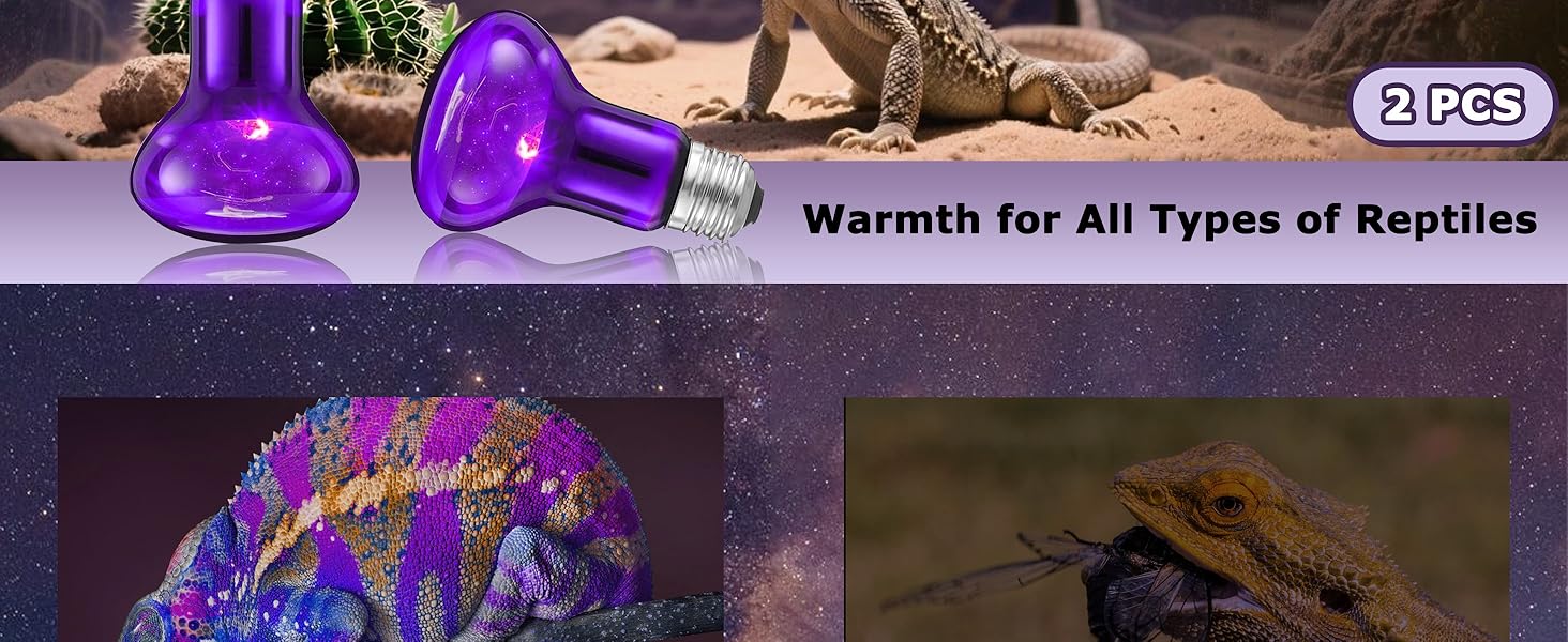 HARTOMPET Moonlight Basking Spot R63