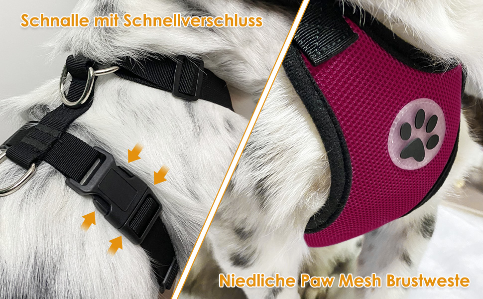 hundegeschirr kleine hunde