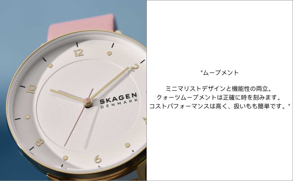 Amazon.co.jp: [スカーゲン] 腕時計 RIIS SKW6885 メンズ