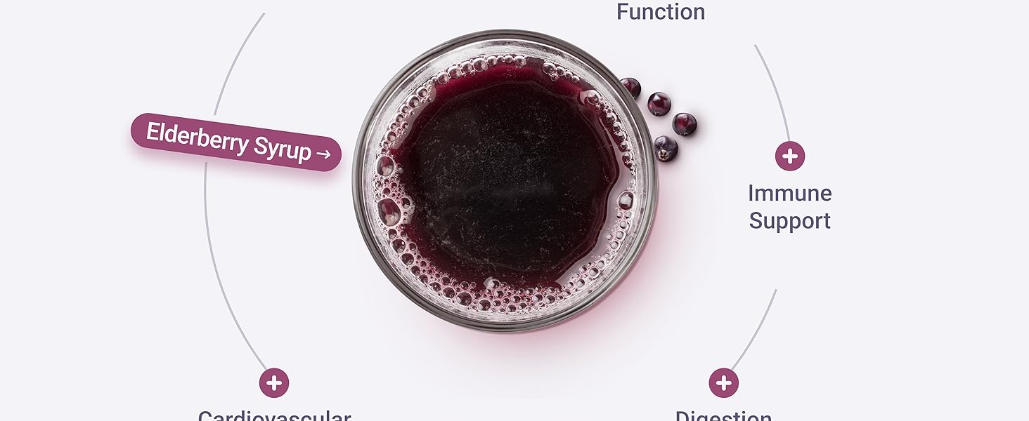Dried Elderberries